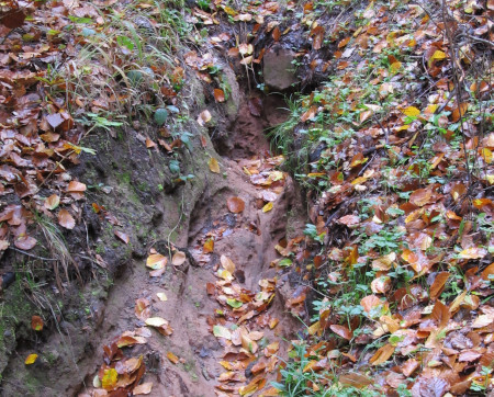 So entsteht Sediment