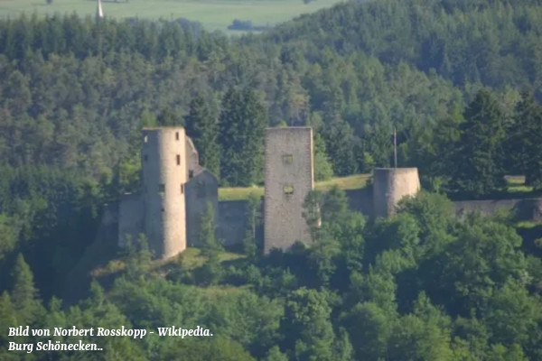 Burg Schönecken